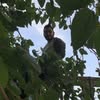 Abd El Salam Weshahy‎‏ 