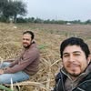 Mohammed Abd Rabo‎‏