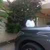 Abdulrazik Yusuf‎‏