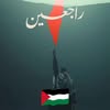 Wael Fouad‎‏