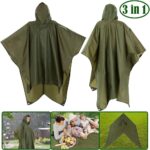 photo_5902270287712029655_y