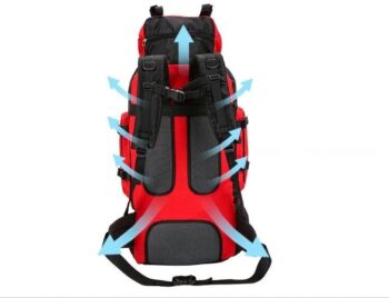 photo 5791861667967733206 x